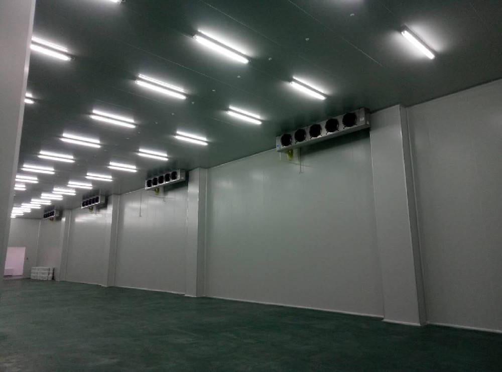三甲醫(yī)院建造600m3藥品冷藏庫需要多少費用？