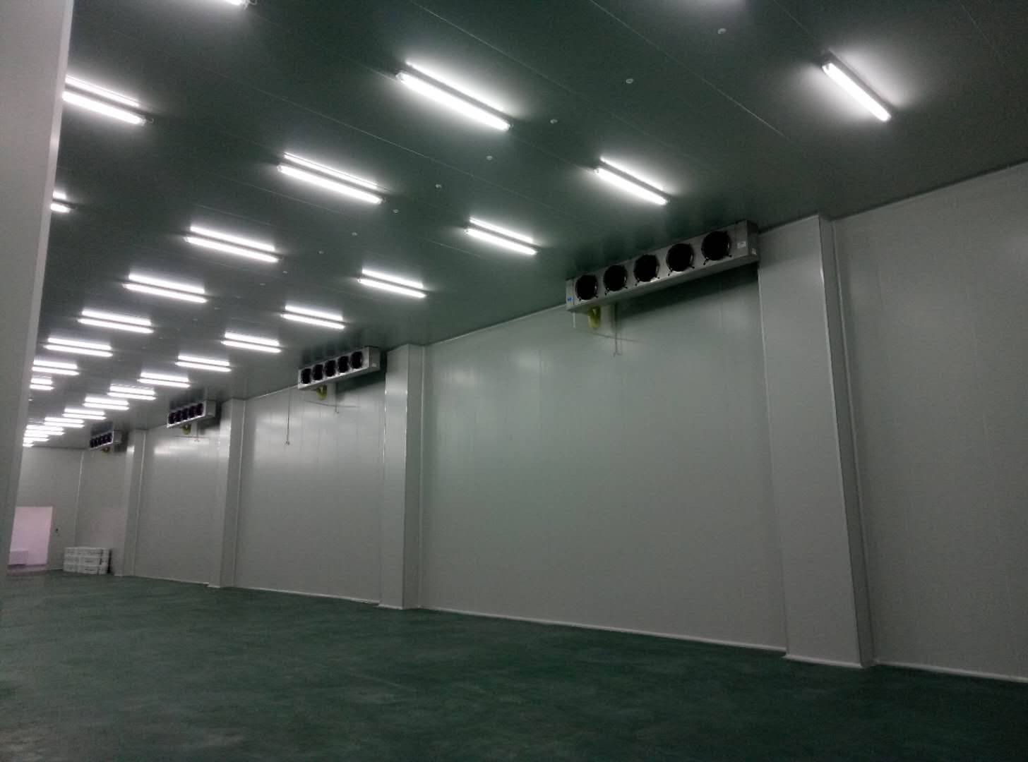 建造-35℃～-40℃急凍庫設計費用價格多少錢？