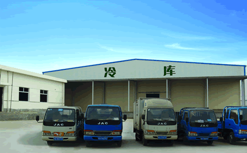 大型冷鏈物流冷藏車(chē)，果蔬冷庫(kù)安裝設(shè)計(jì)·