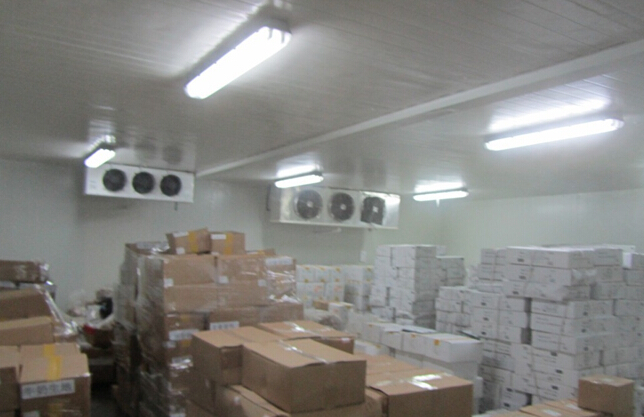 1000平肉類冷凍庫造價多少錢，低溫凍肉冷庫建造