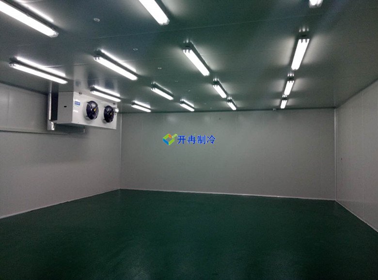 100m3血液冷庫溫度一般多少度，醫療冷庫報價  冷庫內景圖片 